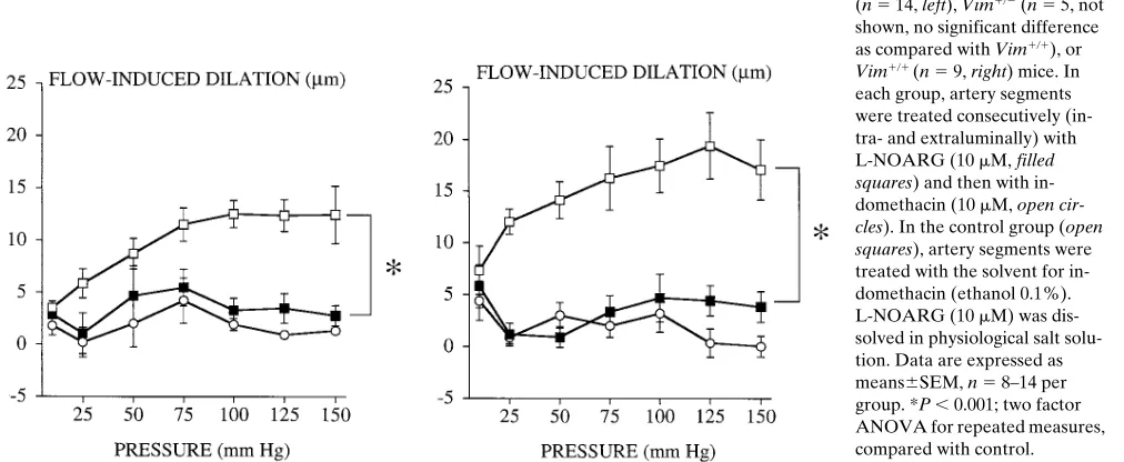 Figure 5. Flow-induced dilation in resistance mesenteric artery seg-mmHg (set at 100 clesments isolated from Vim��� (filled boxes, n � 14), Vim��� (open cir-, n � 5), or Vim��� (open boxes, n � 9) mice