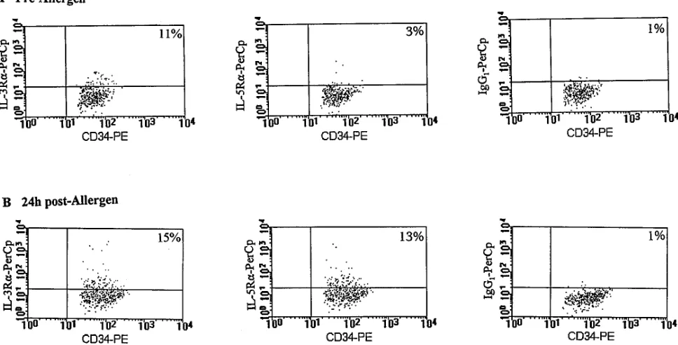 Figure 2. Enumeration of bone marrow–derived CD34� cells that express the �-subunit of IL-3R and IL-5R