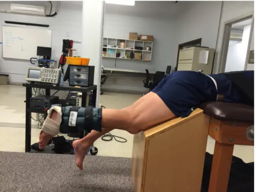 Figure 2- Hamstring Stiffness Assessment 