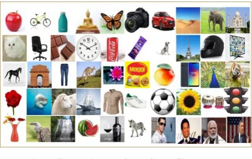 Fig. 1: Sample images from CBIR-50 dataset 
