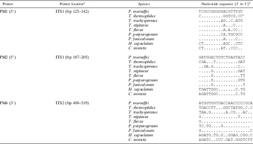 TABLE 1. Design of P. marneffei-speciﬁc oligonucleotide primers