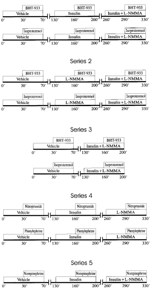 Figure 1. Flow diagrams of the protocol.