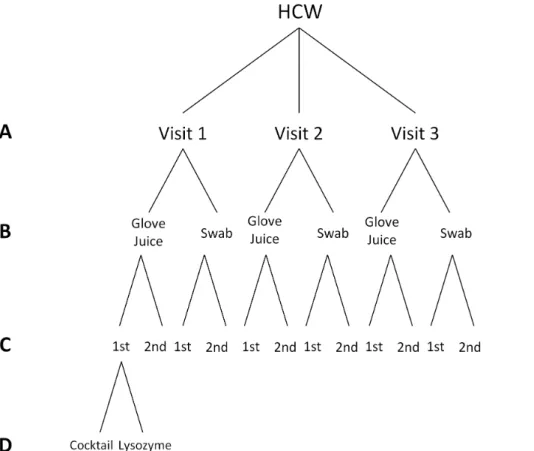 Figure 1. Study Design Showing Levels of Comparisons of Hand Microbiota Samples Sent for Sequencing