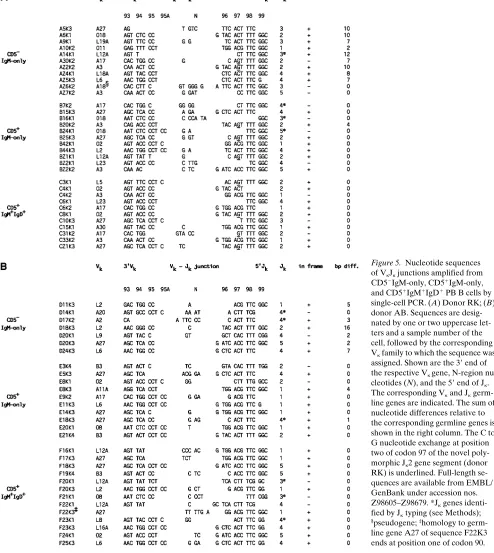 Figure 5. Nucleotide sequences