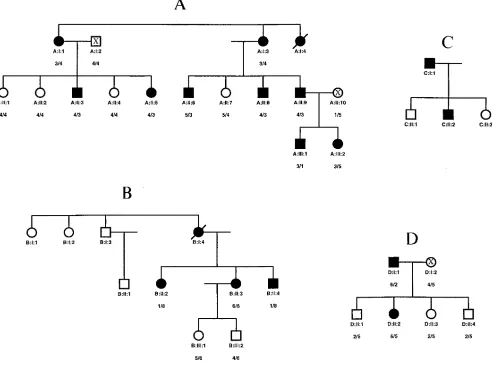 Figure 1. Family trees of dRTA patients examined in this study. (�, �) Clinical dRTA syndrome (complete or incomplete); (�, � ) no clinical features of dRTA, urinary acidification studies refused by C:II:1, C:II:3 and D:II:1, but normal in all others shown