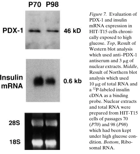 Figure 7. Evaluation of 