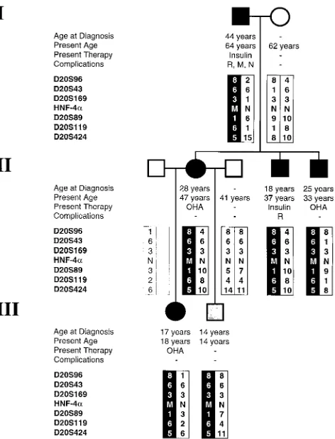 Figure 1. Dresden-11 pedigree. The members of this family with shaded symbolstus, present age and therapy, and nature of complications are indi-cated