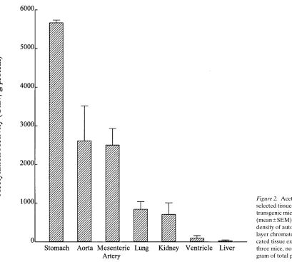 Figure 2. Acetylation activity of