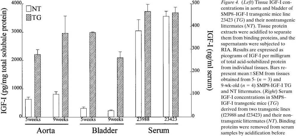 Figure 4. (Left) Tissue IGF-I con-