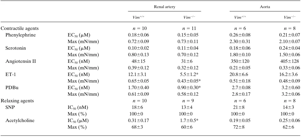 Table II. Effect of Lack of Vimentin on Vascular Responses to Contractile and Relaxing Agents in Renal Resistance Arteries andin Aortas