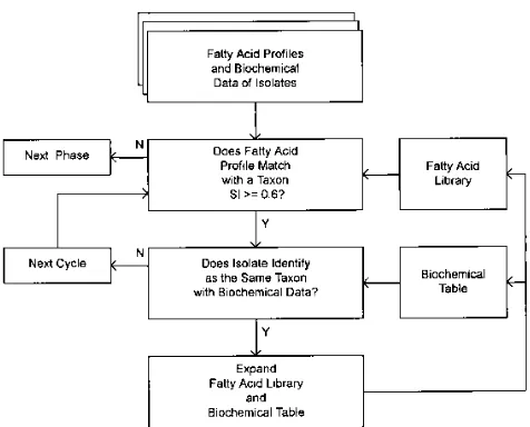 FIG. 1. Flow diagram for the development of the FA proﬁle library andbiochemical table