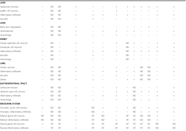 Table 3 Distribution of specific lesions in tissues of naturally WNV infected birds (Continued)