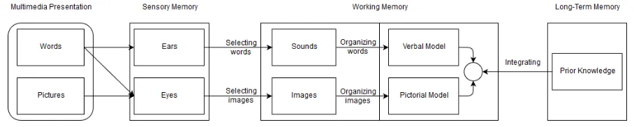 Figure 1. The multimedia learning model. Source: Mayer (2017, p. 405). 