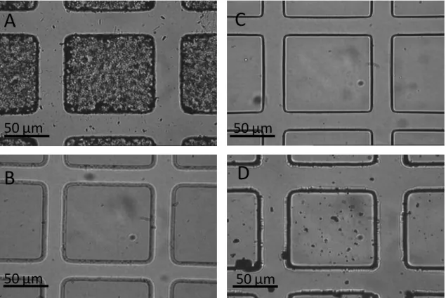 Figure 2.2 Transmitted light microscopy of microstructures  (100-µm squares  with a 30- 30-µm  height)  made  with  1002F  photoresist  containing    1%  maghemite  nanoparticles  directly mixed into 1002F (A) and 1% maghemite nanoparticles incorporated in