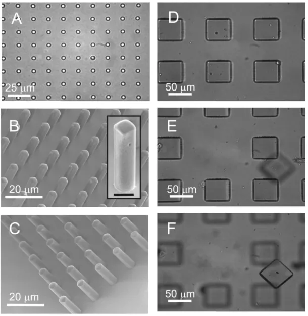 Figure  2.8  Microstructures  from  magnetic  photoresists.    Brightfield  image  of  3  m  circular  structures  composed  of  SU8  with  1%  maghemite  nanoparticles  (A)