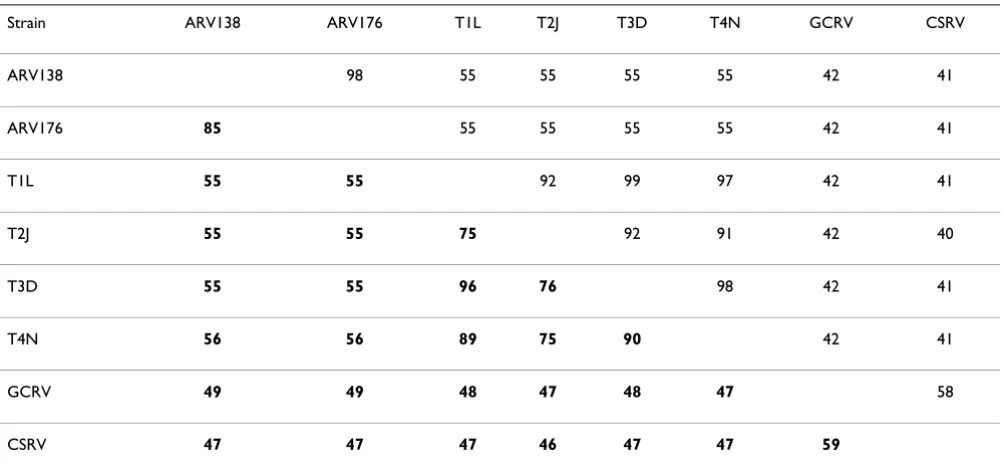 Table 2: Genome-segment lengths, non-translated regions, and encoded proteins of ARV138 and ARV176