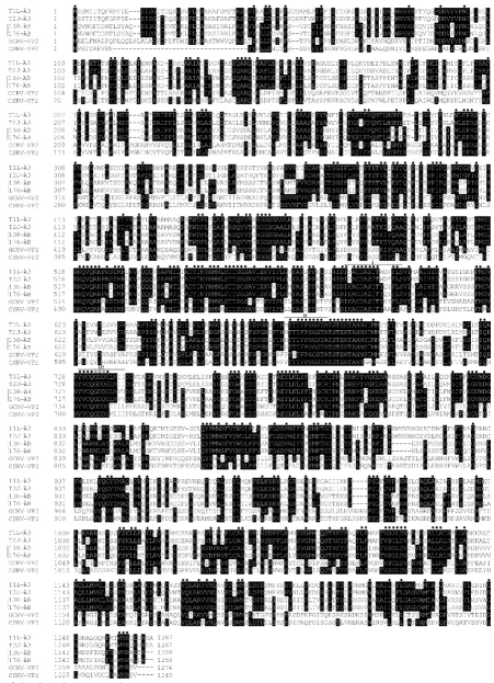 Figure 1 (see legend on next page)
