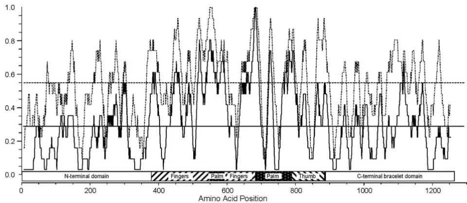 Figure 3ase proteinsWindow-averaged scores for sequence identity among the ARV λB, AqRV VP2, and MRV λ3 RNA-dependent RNA polymer-Window-averaged scores for sequence identity among the ARV λB, AqRV VP2, and MRV λ3 RNA-dependent RNA polymerase proteins