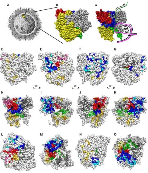 Figure 4 (see legend on next page)