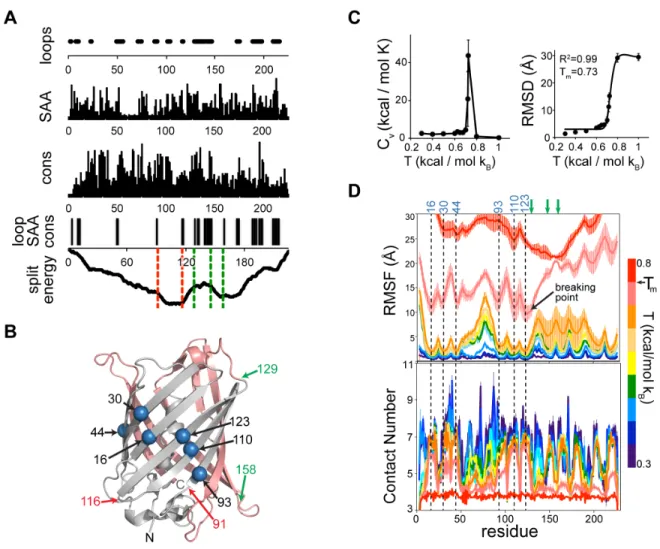 Figure 4.2.   Computational identification of split sites for GFP. 