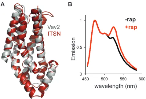 Figure 4.5.   SPELL Intersectin 