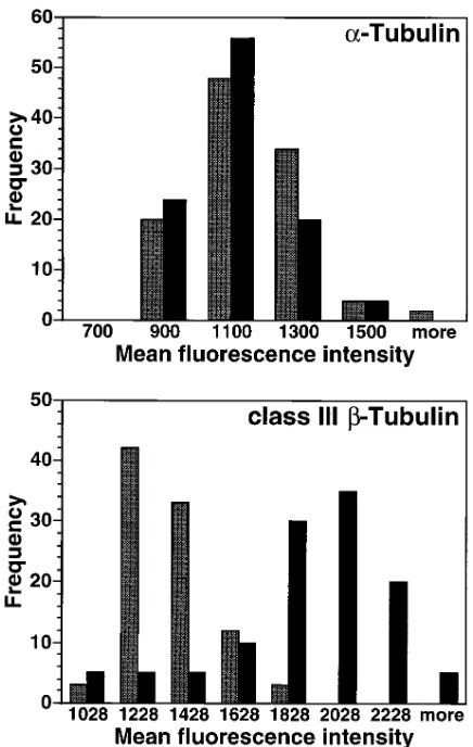 Figure 7. Immunofluorescence intensity quantitation of A549 and determined for a minimum of 100 stained cells