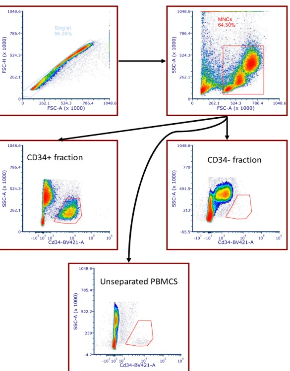 Fig S1. A) Gating strategy for CACs and purity of magnetic separation. Live cells were gated  first