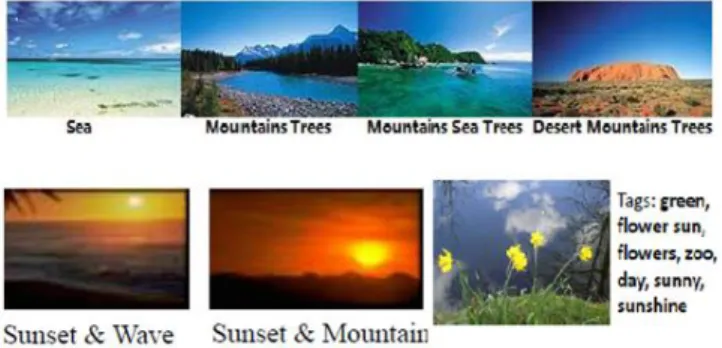 Fig. 1 Multilabel-label characteristic images of real world .  It actively selects the most informative unlabeled  examples  for labeling at each learning iteration, so as to gradually learn  more  accurate  classifiers  with  less  annotation  efforts.Wit