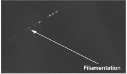 Figure 1-3. Image of filamentation tracks inside the bulk of an optic [3] 