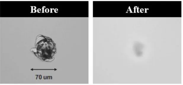 Figure 1-8. Micrographs of a damage site before and after CO 2  laser mitigation [7] 
