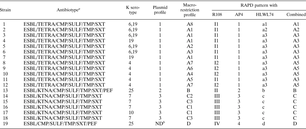 FIG. 2. Temporal distribution of ESBL-producing K. pneumoniaethe ICU of Erasme Hospital, 1990 to 1992, according to major macrorestriction isolation intypes.