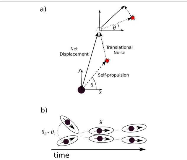 Figure 1. (a) Schematic illustration of single-particle dynamics in the model we consider