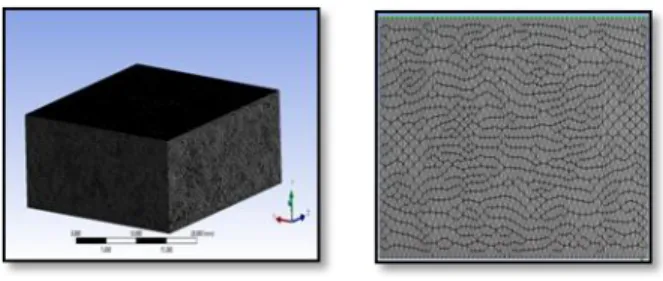 Figure  3.1:  Figure  showing the  grid pattern  used  for  this problem 