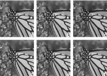 Fig. 8. Graphical representation of PSNR measure (in dB) for  Image Monarch by different schemes
