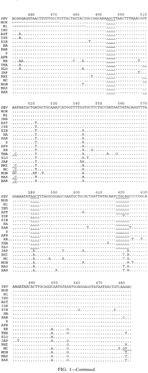 FIG. 1—Continued.