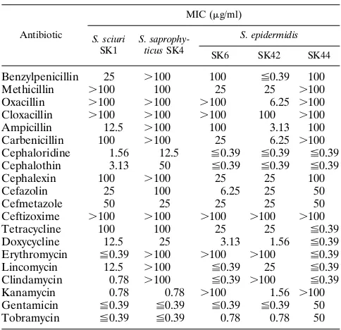 FIG. 1. PFGE of Smacoagulase-negative staphylococcal isolates from chickens. Lanes b, c, and d,I-digested genomic fragments of methicillin-resistant S.