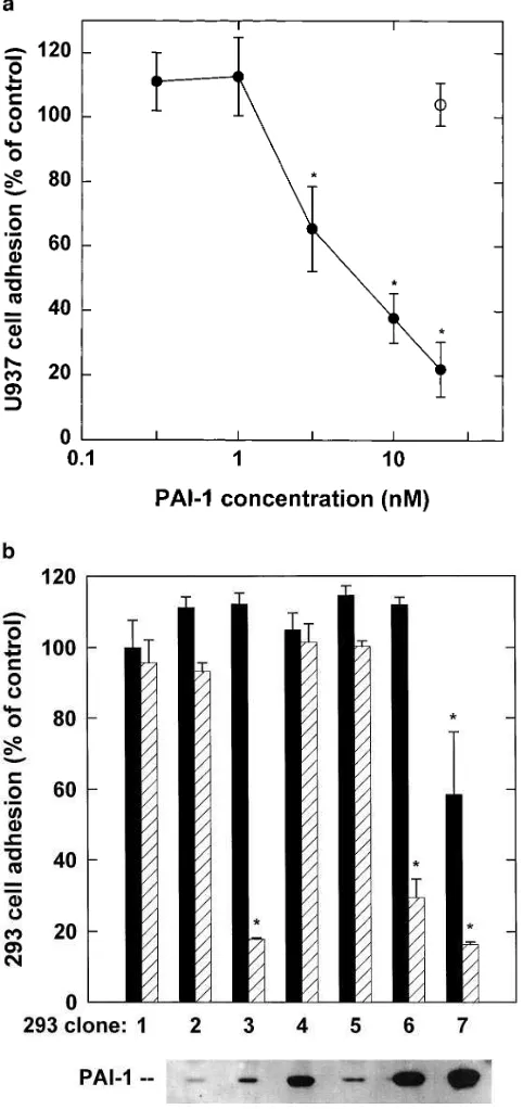 Figure 2. PAI-1 promotes detachment of (transfected 293 cells from vitronectin. (with TGF-a) U937 and (b) uPAR-a) U937 cells were primed �1/D3 and pro-uPA in 10% FBS for 24 h; ATF was substi-tuted for pro-uPA in the samples containing 20 nM PAI-1