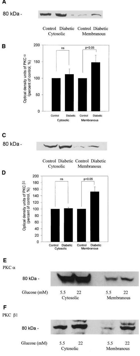 Table III. Physiological Characteristics of Control Rats and Diabetic Rats with or without 10 mg/kg Body Wt PKC � Inhibitor, LY333531 Treatment for 4 wk‡