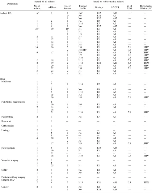 TABLE 2. Phenotypic and genotypic characteristics of E. aerogenes isolates