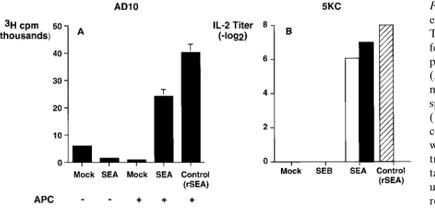 Table I. Quantitation of SEB Production by In Vitro Transfected CHO Cells