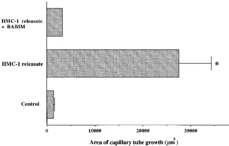 Figure 3. Dose–response relationship between mast cells and the area of HDMEC capillary tube growth