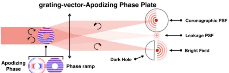 Fig. 1. Working principle of the grating-vector-Apodizing Phase Plate.