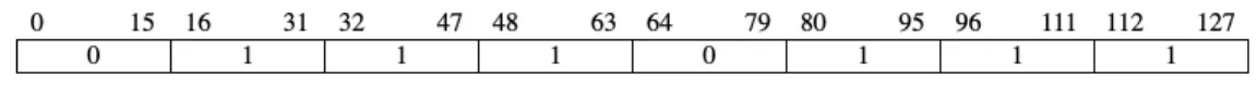 Figure 3.4: Example of a vector mask stored at v0