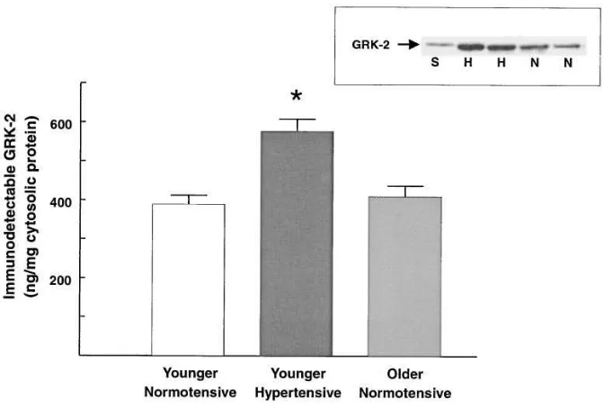 Figure 3. The correlation between GRK-2 expression and isoprotere-nol-stimulated adenylyl cyclase activity in younger normotensive and hypertensive subjects