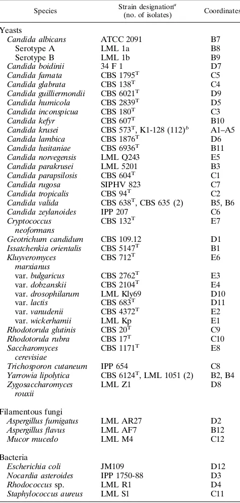 TABLE 1. Yeast, ﬁlamentous fungus, and bacterial strains screenedwith CkF1,2 and coordinates of the corresponding DNA samples inthe dot blot experiments shown in Fig
