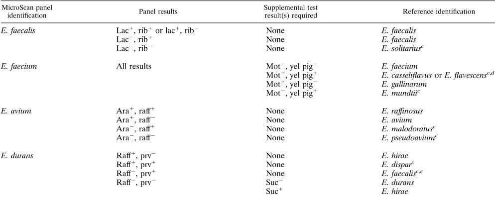 TABLE 2. Ability of conventional MicroScan Positive BreakpointCombo Type 6 panels to identify Enterococcus speciesa