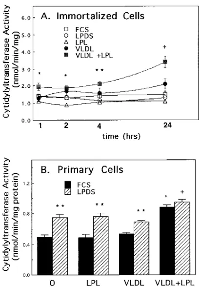 Figure 7. Effect of VLDL and LPL on the levels of immunoreactive for 24 h. (Western blotting