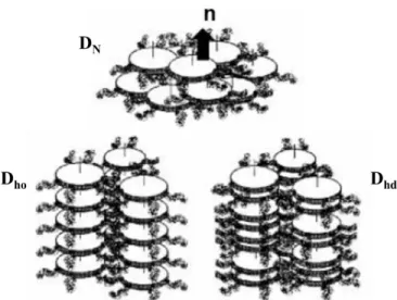 Figure 3.2. Examples of phases formed from discostic mesogens: nematic (D N ), hexagonal  ordered (D ho ), and hexagonal disordered (D hd )