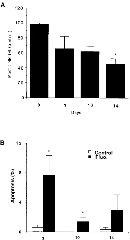 Figure 1. Effect of fluocinonide on mast cell number and number of mast cells in apoptosis in mouse ear dermis