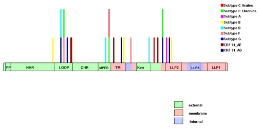 Figure 1types/circulating recombinant forms as detected by the GARD methodDistribution of recombination breakpoints across the gp41 encoding region of two subtype C datasets and seven other sub-Distribution of recombination breakpoints across the gp41 enco